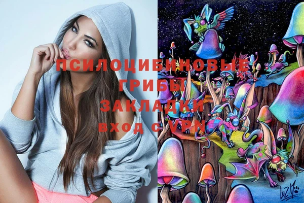 гашишное масло Дмитровск