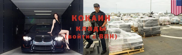 крисы Дмитров