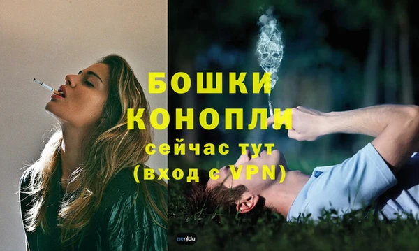 крисы Дмитров