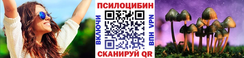 Псилоцибиновые грибы мухоморы  Купить закладки  Димитровград 